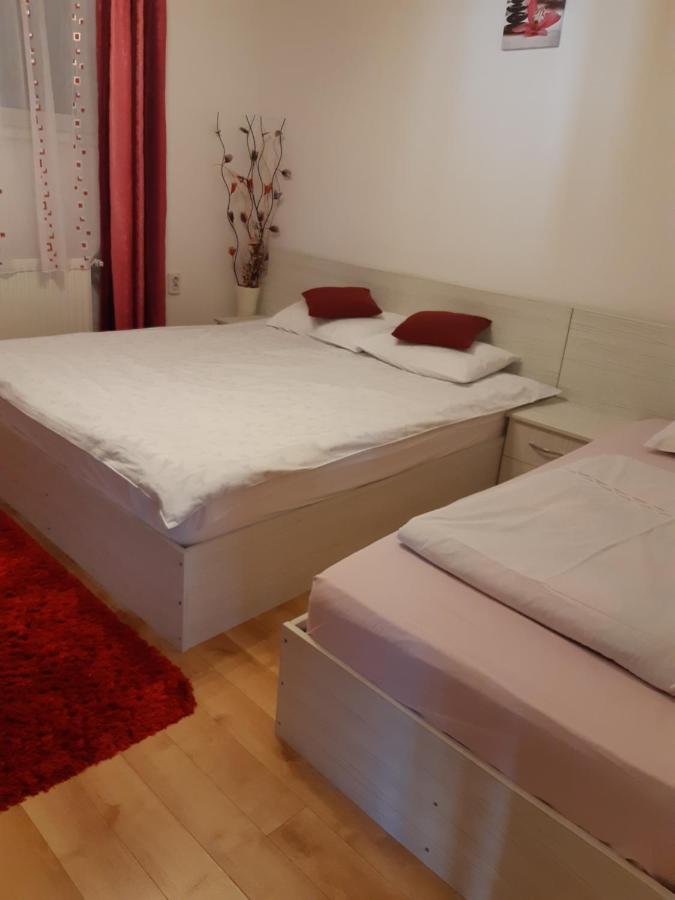 Vila Georgeta Zărneşti Eksteriør bilde