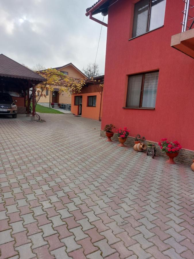 Vila Georgeta Zărneşti Eksteriør bilde