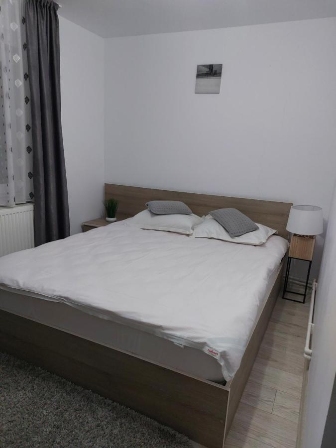 Vila Georgeta Zărneşti Eksteriør bilde