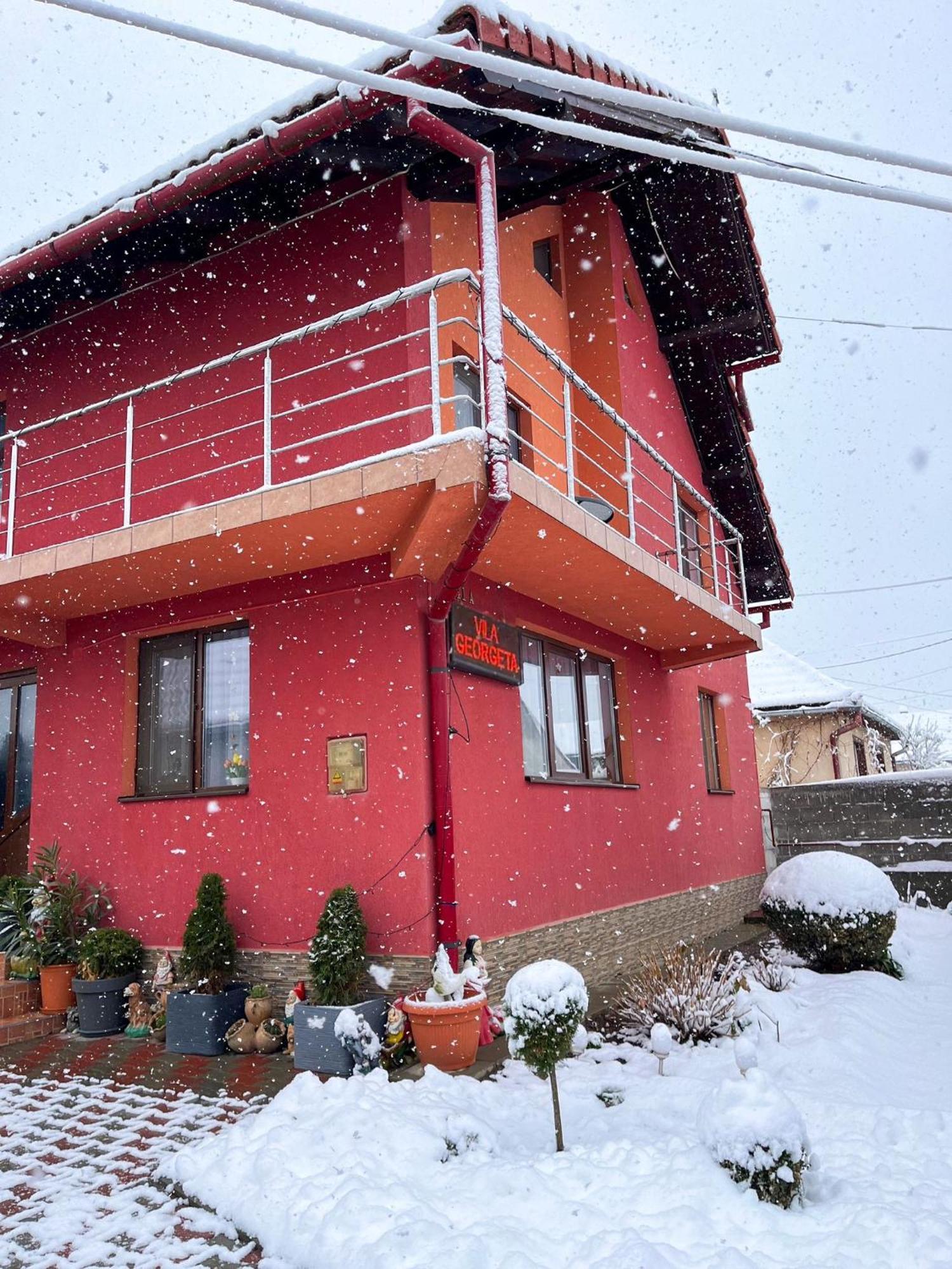 Vila Georgeta Zărneşti Eksteriør bilde